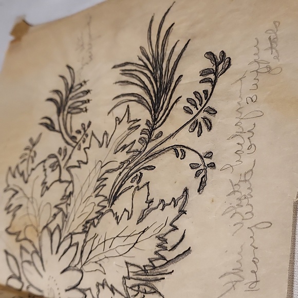 RARE and Vintage Hand Painted Flowers on Plastic Like Paper With Instructions - Picture 15 of 16